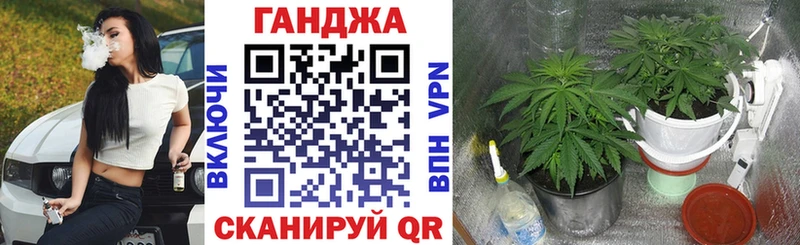 наркошоп  Ангарск  blacksprut ссылка  Бошки Шишки семена 